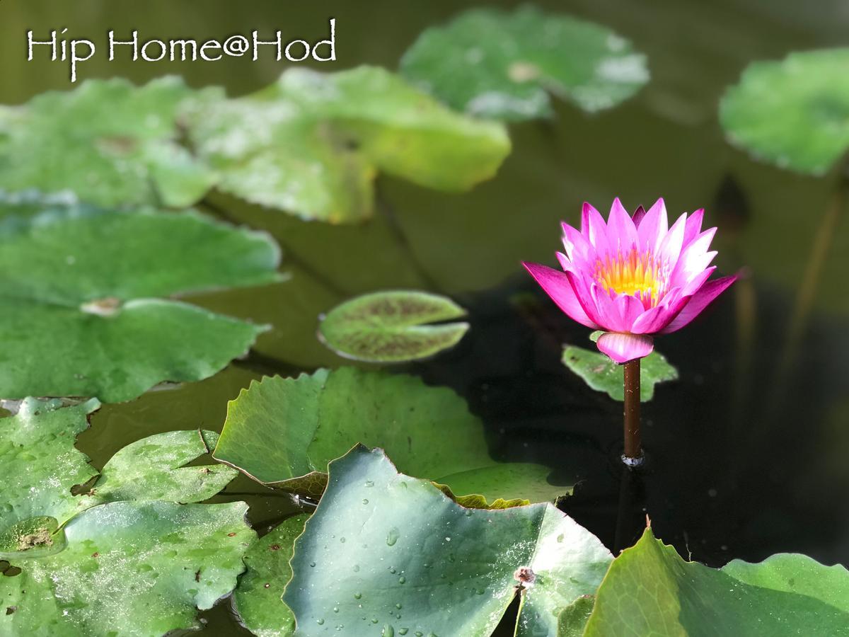Hip Home At Hod Hot Bagian luar foto